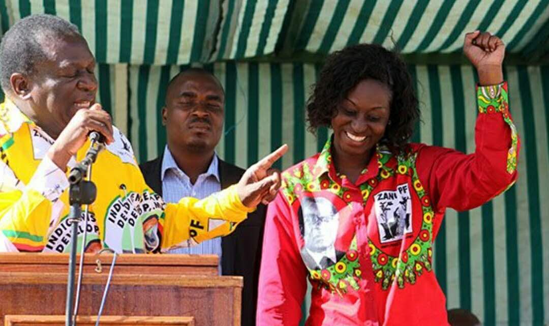 Zanu-PF MP, China launch partnership